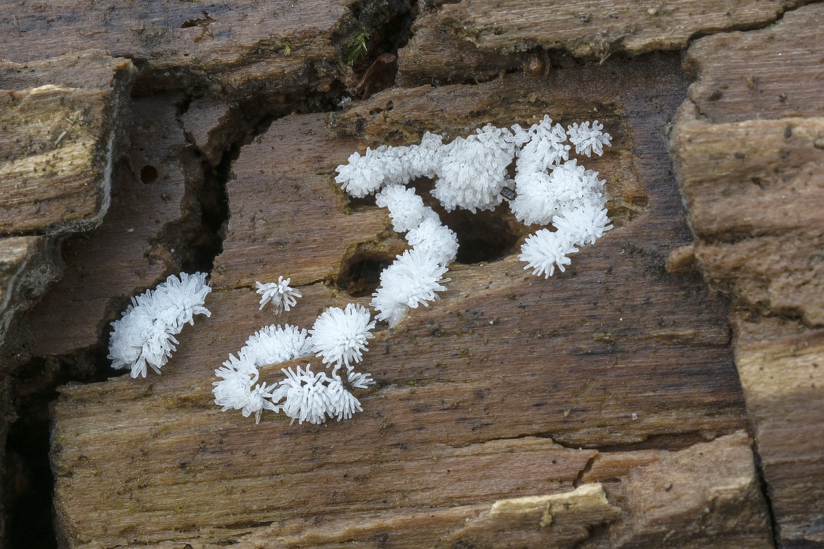 Yumshoq gey jinsiy aloqa onlayn Pol yuvib ko‘kragim tushib ketdi